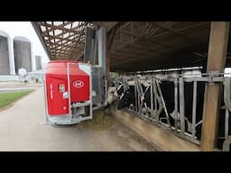 Lely Vector Automatic Feeding System Startup