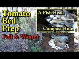 (Fish Heads & Tomato Beds) Putting Beds to 'Rest' for the Winter (Compost Holes & Fertilizing)