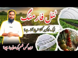 November 2024 me kon c profitable crops lgaen? zameen ki tyari se ly kr katai tk rehnmai |IR FARM