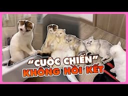 “Cuộc chiến” không hồi kết của May, July & No | maly.gaugau