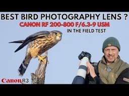 Best Bird Photography Lens | In the Field Review of the Canon RF 200-800 f6.3-f9 using the Canon R3