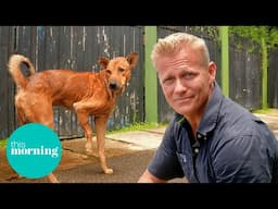 Saving Street Dogs: Dr Scott’s Journey Through Sri Lanka | This Morning