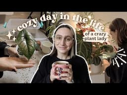 cozy plant vlog 🪴 repotting, dusting, propagating & more