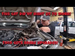 Fixing Toyota Tacoma Brake Issues With Chevy Parts!!