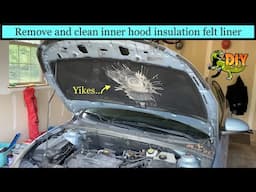 Remove stains from inside engine hood insulation liner