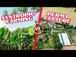 Syntropic Farming vs Permaculture