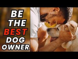 10 Tips to Become the Best Dog Owner Ever!