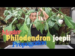 Master Philodendron Care & Propagation In Water Moss and Potting Mix! With Satisfying Updates!