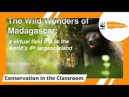 The Wild Wonders of Madagascar: A Virtual Field Trip to the World's 4th Largest Island