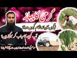 Onion farming پیاز کی کاشت|Best tips for farmers |Profitable onion farming |IR FARMS