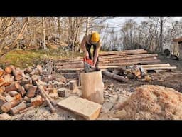 Wooden Log House for Out Pets and Play Time / LOG CABIN Building (S4 Ep19)