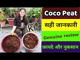 🔴COCOPEAT USES BENEFITS क्या COCOPEAT सच में बागवानी के लायक है #cocopeat #gardening