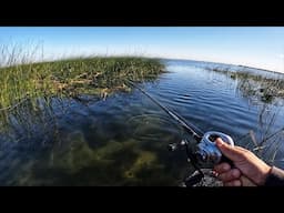 Fishing the legendary Franks Tract