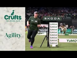 Agility - Singles Heat Part 1 (Agility) | ​Crufts 2024