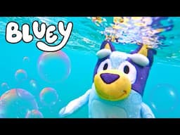 Bluey Underwater Treasure Hunt at the Beach  🏖️ Bluey Water Park Fun | Learn Colors with Bluey