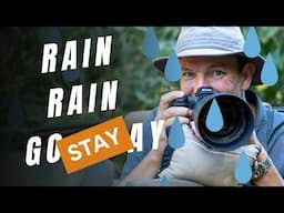 Photographing In The Rain: Why It's The Perfect Idea