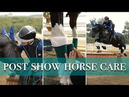 After-Show HORSE CARE ROUTINE + Schooling Show for my RESCUE Thoroughbred | ZL Equestrian