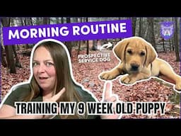 Morning Routine with My 9 Week Old Service Dog in Training: Puppy’s Morning Routine!