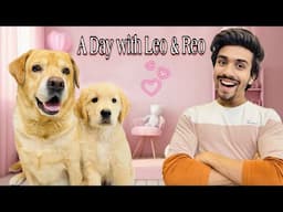 A Day With Leo & Reo | Leo Ke Baby Ki First Bath | Anant Rastogi