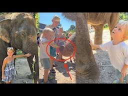 LUCiUS DROOM KOMT UiT! VOOR HET EERST OLiFANTEN VOEREN 🐘 ( Chiang Mai) | Bellinga Vlog #3265