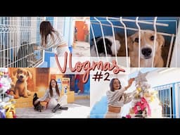 ¡VAMOS A VER PERRITOS A UN ALBERGUE! #Vlogmas | @AnaVbon