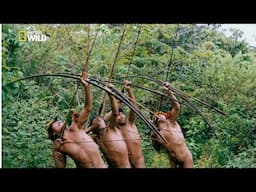 National Geographic - The Deep Jungle Nomads - History Documentary HD 2017