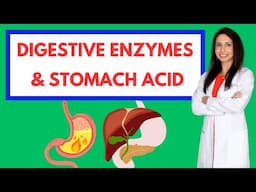 The Power of Digestive Enzymes & Stomach Acid: Fix Bloating, Gas, and Reflux!