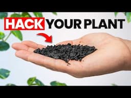 Top 20 Hacks To Make Your Plants THRIVE