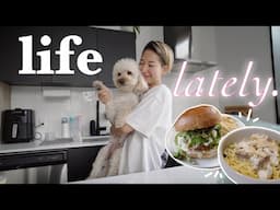 life in montreal | new job, managing stress, home cooking, meal kit delivery experience