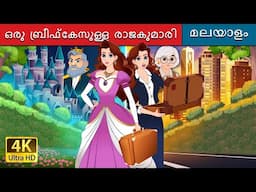 ഒരു ബ്രീഫ്കേസുള്ള രാജകുമാരി | Princess with a Briefcase in Malayalam | @MalayalamFairyTales