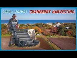 Where your Thanksgiving Cranberries come from feat. Annie's Crannies | Local Legends | Brad Leone