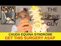 Surgical Treatment for Cauda Equina Syndrome