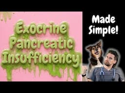 Exocrine Pancreatic Insufficiency (EPI) made Simple with Dr. Dan