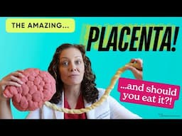 Everything you can do with your PLACENTA...*eating it??*  |  Dr. Jennifer Lincoln