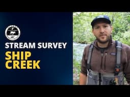 Counting Salmon in the heart of Anchorage - Ship Creek Stream Survey