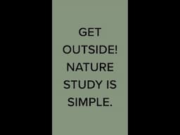 Get outside! Nature study is simple!