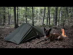 SOLO BUSHCRAFT OVERNIGHT CAMPING - Minimalistic Adventure with Dog