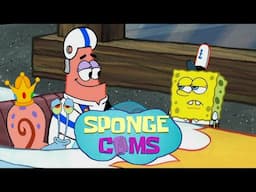 SPONGECOMS: Driven to Tears/Rule of Dumb