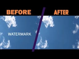 How to remove Watermark in your Videos