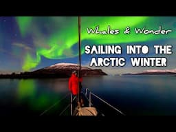 Sailing into the Arctic Winter - Northern Norway (Sailing Free Spirit)