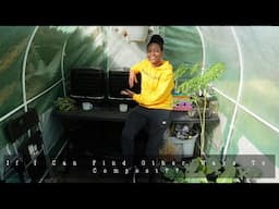 Worm Bin Setup | Another Composting Option For Urban Gardeners | Setup & Feeding | Future Plans