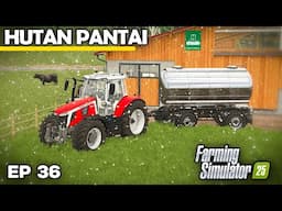 BUFFALO MILK IS WORTH A FORTUNE! | Farming Simulator 25 - Hutan Pantai | Episode 36