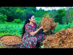 Authentic Sri Lankan Peanuts Galore 🥜 Making Caramelized Chikki, Durian Crepe Cake &Easy  Watalappan