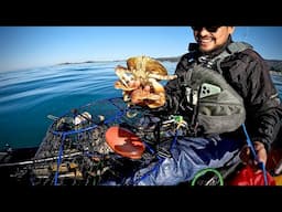 Kayak Crabbing: Catching The Most Delicious Crab | Dungeness Crab