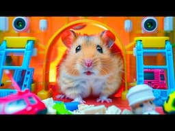 🐹 Hamster Great Escape from the Huggy Maze 😱 A Thrilling Journey | Hamster Maze