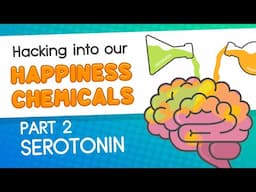 Hacking into our Happiness Chemicals // Part 2_Serotonin