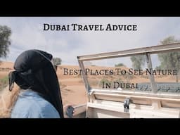 Best Places To Experience Nature In Dubai