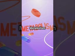 Fuel your body, boost your Metabolism #healthspanculture