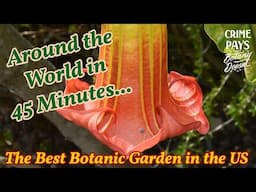 Around the World in 45 Minutes : The Best Botanic Garden in the US