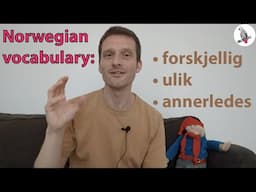 Norwegian vocabulary: Forskjellig - ulik - annerledes